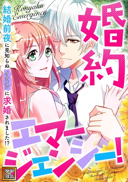 婚約エマージェンシー！〜結婚前夜に見知らぬイケメンに求婚されました！？【タテヨミ】（13）