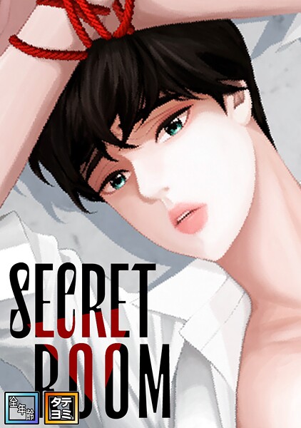 SECRET ROOM【全年齢版】【タテヨミ】（12）